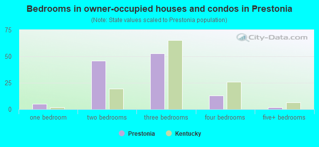 Bedrooms in owner-occupied houses and condos in Prestonia