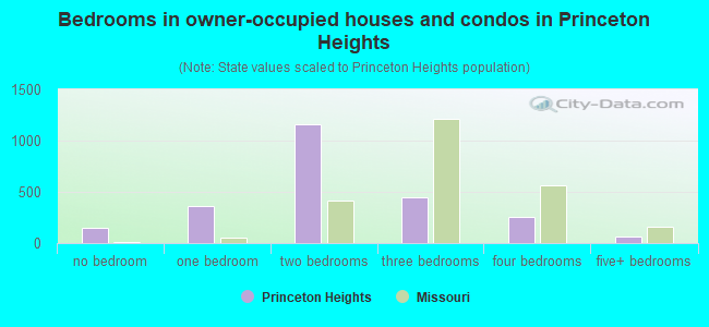 Bedrooms in owner-occupied houses and condos in Princeton Heights