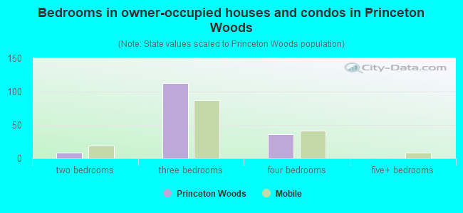 Bedrooms in owner-occupied houses and condos in Princeton Woods