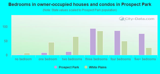Bedrooms in owner-occupied houses and condos in Prospect Park