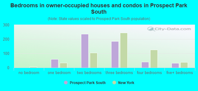 Bedrooms in owner-occupied houses and condos in Prospect Park South