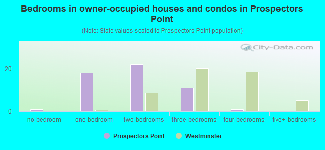 Bedrooms in owner-occupied houses and condos in Prospectors Point