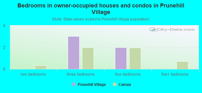 Bedrooms in owner-occupied houses and condos in Prunehill Village