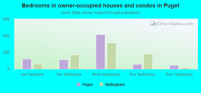 Bedrooms in owner-occupied houses and condos in Puget