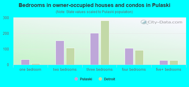 Bedrooms in owner-occupied houses and condos in Pulaski