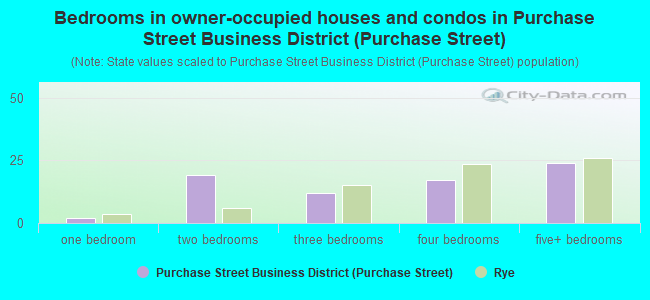 Bedrooms in owner-occupied houses and condos in Purchase Street Business District (Purchase Street)