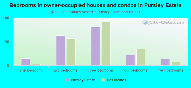 Bedrooms in owner-occupied houses and condos in Pursley Estate