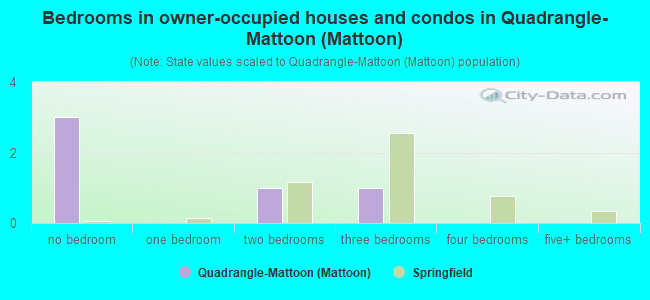Bedrooms in owner-occupied houses and condos in Quadrangle-Mattoon (Mattoon)