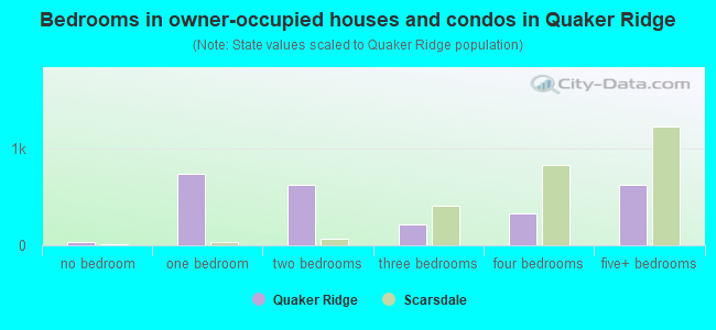 Bedrooms in owner-occupied houses and condos in Quaker Ridge