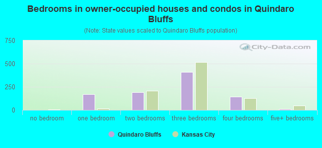 Bedrooms in owner-occupied houses and condos in Quindaro Bluffs