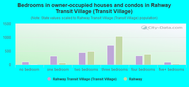 Bedrooms in owner-occupied houses and condos in Rahway Transit Village (Transit Village)