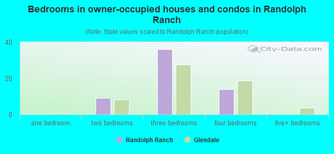 Bedrooms in owner-occupied houses and condos in Randolph Ranch