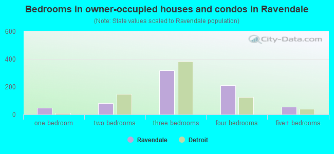 Bedrooms in owner-occupied houses and condos in Ravendale