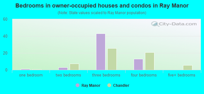 Bedrooms in owner-occupied houses and condos in Ray Manor