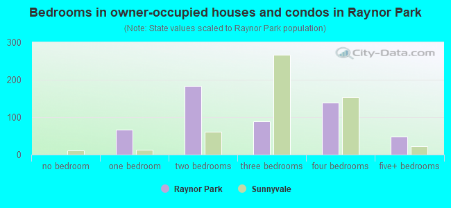 Bedrooms in owner-occupied houses and condos in Raynor Park