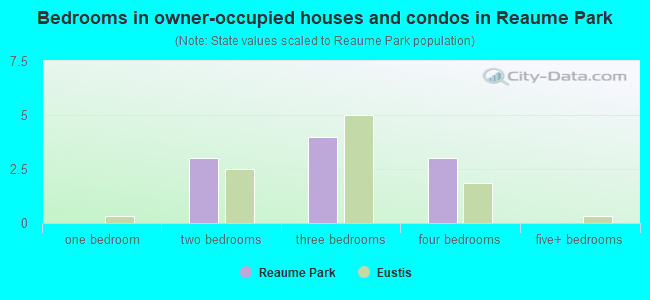 Bedrooms in owner-occupied houses and condos in Reaume Park