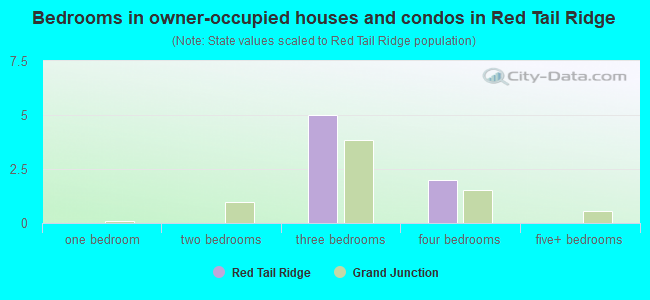 Bedrooms in owner-occupied houses and condos in Red Tail Ridge
