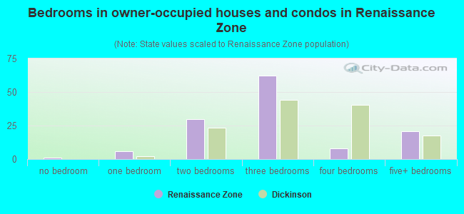 Bedrooms in owner-occupied houses and condos in Renaissance Zone