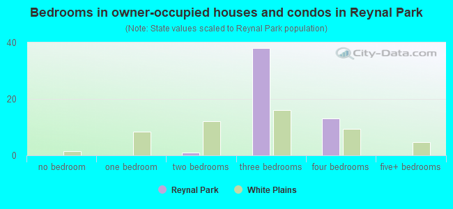 Bedrooms in owner-occupied houses and condos in Reynal Park