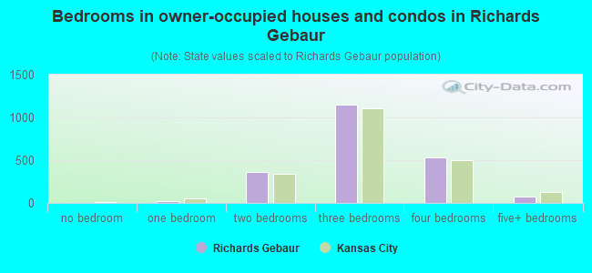 Bedrooms in owner-occupied houses and condos in Richards Gebaur