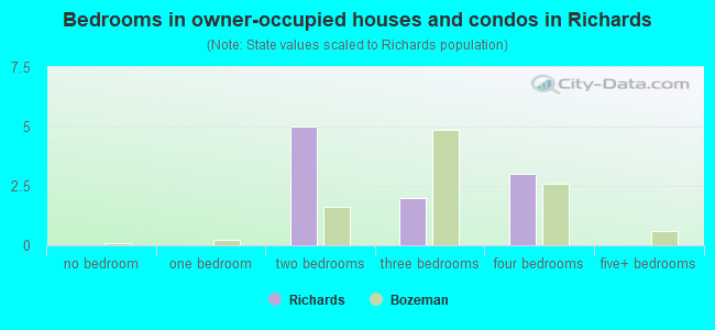 Bedrooms in owner-occupied houses and condos in Richards