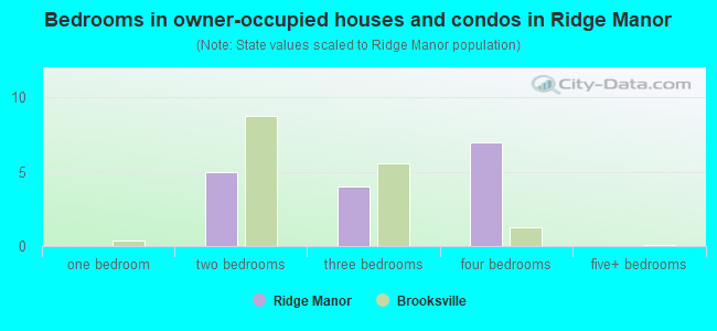 Bedrooms in owner-occupied houses and condos in Ridge Manor