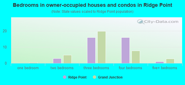 Bedrooms in owner-occupied houses and condos in Ridge Point