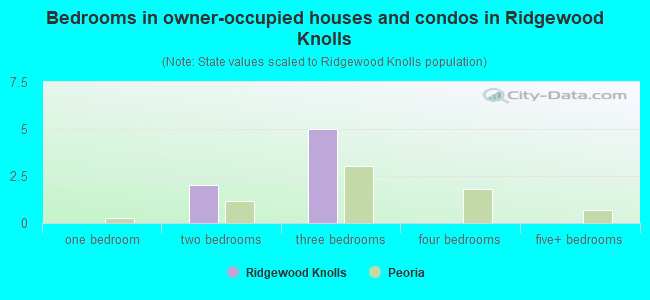 Bedrooms in owner-occupied houses and condos in Ridgewood Knolls
