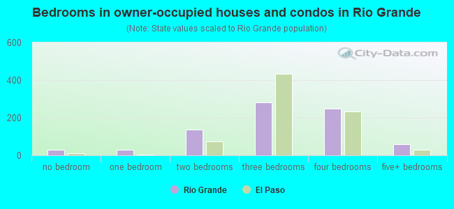 Bedrooms in owner-occupied houses and condos in Rio Grande
