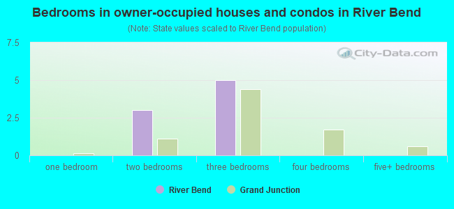 Bedrooms in owner-occupied houses and condos in River Bend