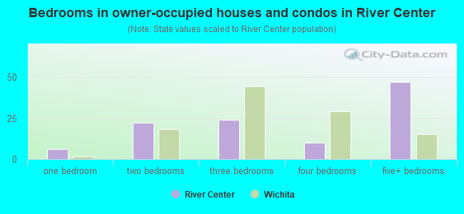 Bedrooms in owner-occupied houses and condos in River Center