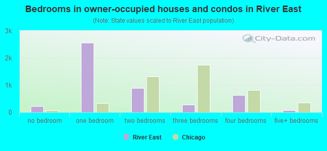 Bedrooms in owner-occupied houses and condos in River East