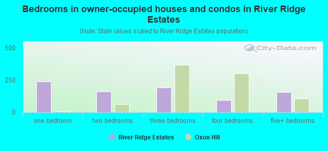 Bedrooms in owner-occupied houses and condos in River Ridge Estates