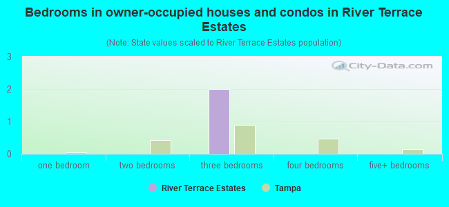 Bedrooms in owner-occupied houses and condos in River Terrace Estates