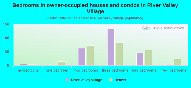 Bedrooms in owner-occupied houses and condos in River Valley Village