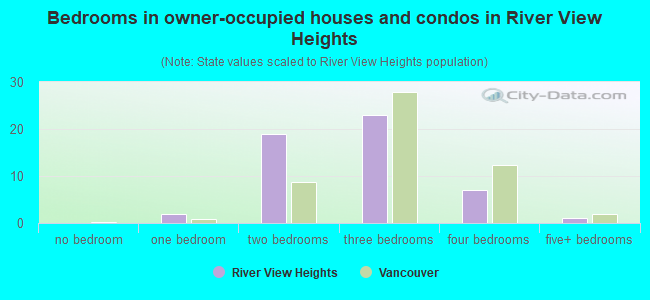 Bedrooms in owner-occupied houses and condos in River View Heights