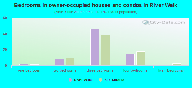 Bedrooms in owner-occupied houses and condos in River Walk