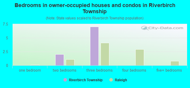 Bedrooms in owner-occupied houses and condos in Riverbirch Township