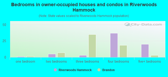 Bedrooms in owner-occupied houses and condos in Riverwoods Hammock