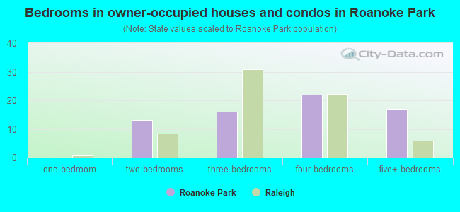 Bedrooms in owner-occupied houses and condos in Roanoke Park