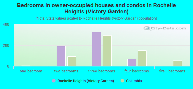 Bedrooms in owner-occupied houses and condos in Rochelle Heights (Victory Garden)