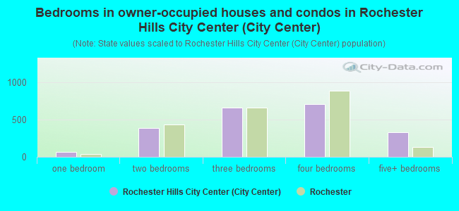 Bedrooms in owner-occupied houses and condos in Rochester Hills City Center (City Center)