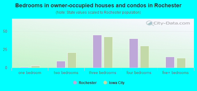 Bedrooms in owner-occupied houses and condos in Rochester