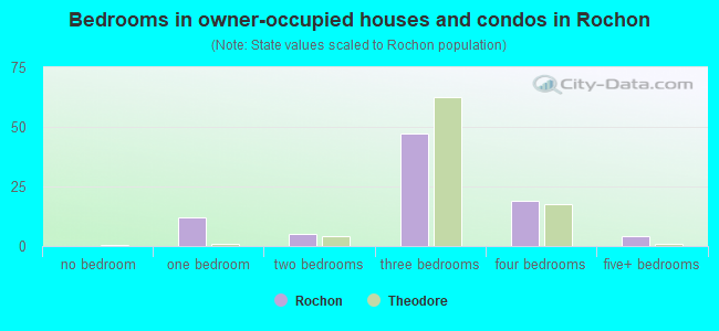 Bedrooms in owner-occupied houses and condos in Rochon