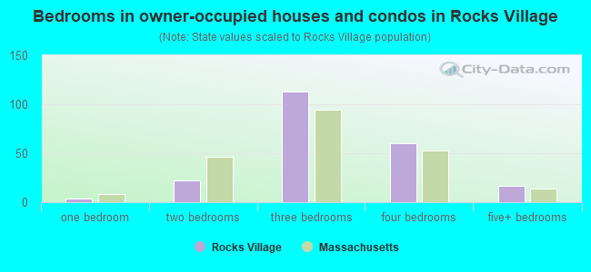 Bedrooms in owner-occupied houses and condos in Rocks Village