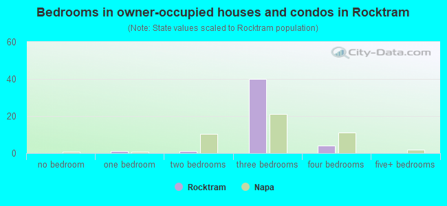 Bedrooms in owner-occupied houses and condos in Rocktram