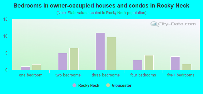 Bedrooms in owner-occupied houses and condos in Rocky Neck