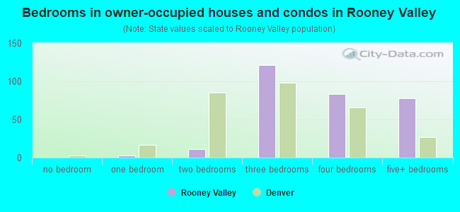 Bedrooms in owner-occupied houses and condos in Rooney Valley
