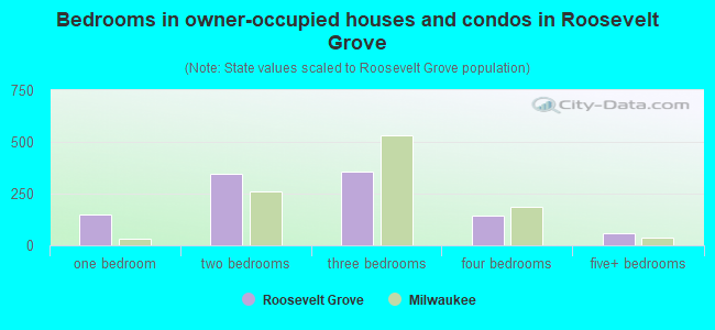 Bedrooms in owner-occupied houses and condos in Roosevelt Grove