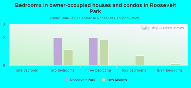 Bedrooms in owner-occupied houses and condos in Roosevelt Park